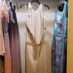Calvin Klein Champagne Dress - SZ 12